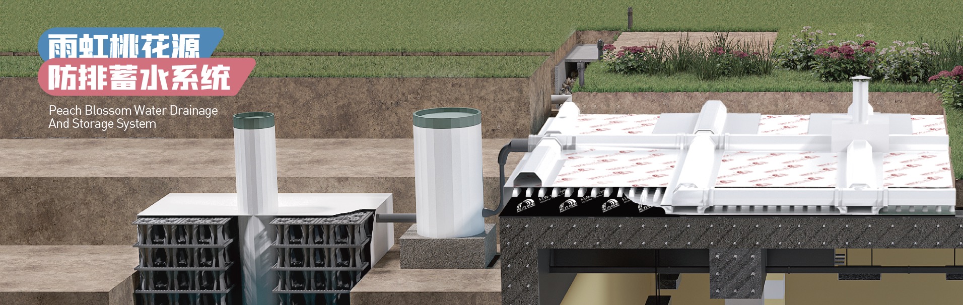 Z6·尊龙「中国」官方网站