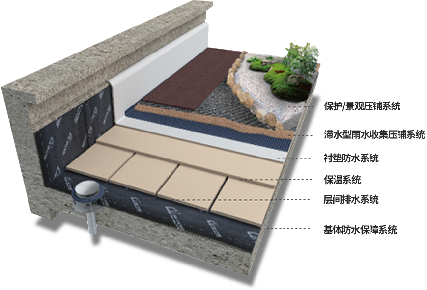 Z6·尊龙「中国」官方网站