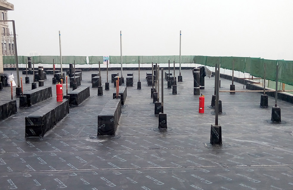 Z6·尊龙「中国」官方网站