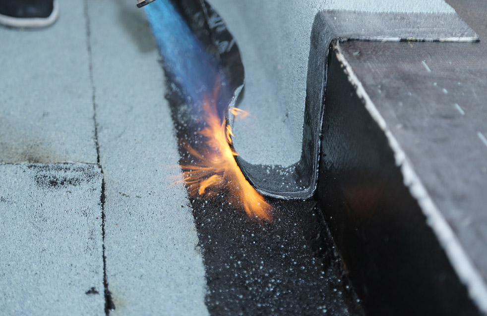 Z6·尊龙「中国」官方网站