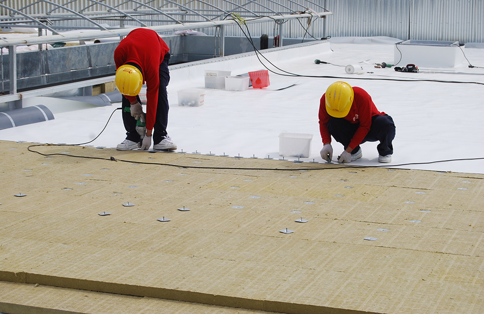 Z6·尊龙「中国」官方网站