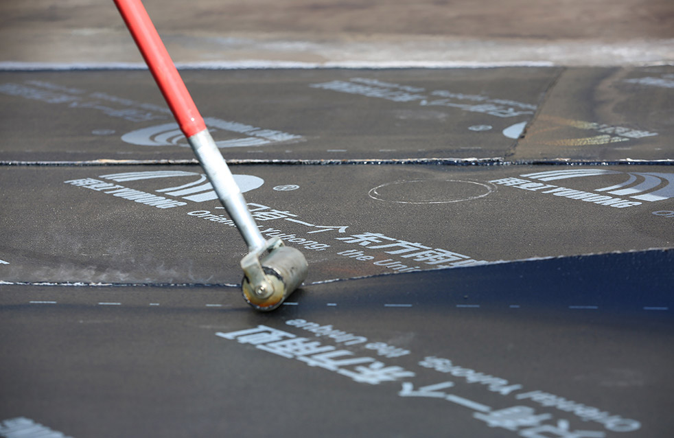 Z6·尊龙「中国」官方网站