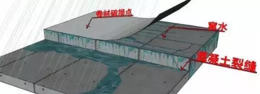 Z6·尊龙「中国」官方网站