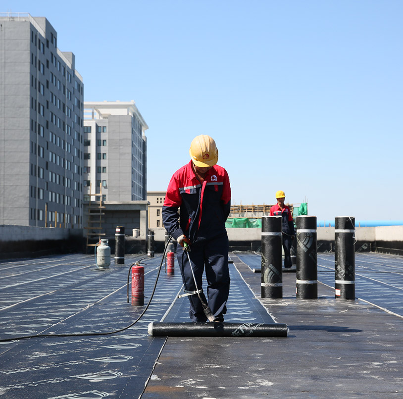 Z6·尊龙「中国」官方网站