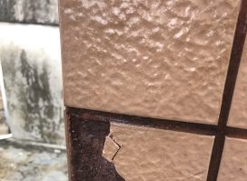 Z6·尊龙「中国」官方网站