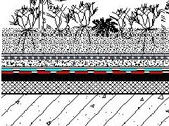 Z6·尊龙「中国」官方网站