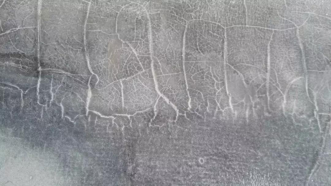 Z6·尊龙「中国」官方网站