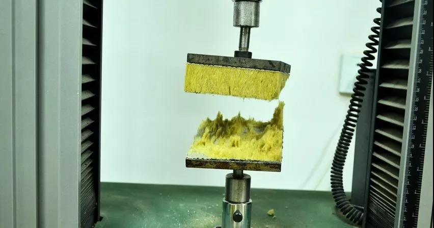 Z6·尊龙「中国」官方网站