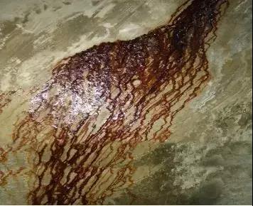 Z6·尊龙「中国」官方网站