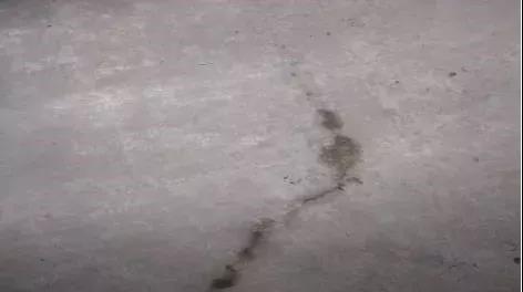 Z6·尊龙「中国」官方网站