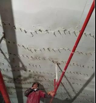 Z6·尊龙「中国」官方网站