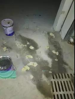 Z6·尊龙「中国」官方网站