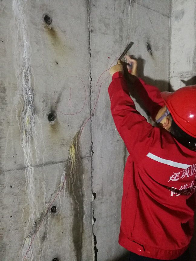 Z6·尊龙「中国」官方网站