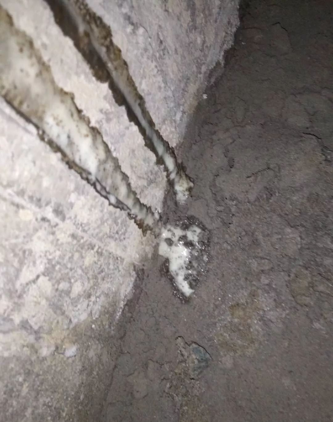 Z6·尊龙「中国」官方网站