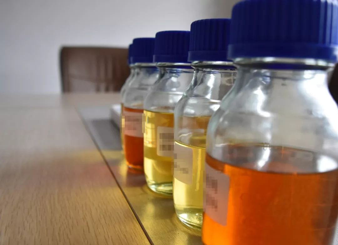 Z6·尊龙「中国」官方网站