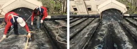 Z6·尊龙「中国」官方网站