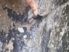 Z6·尊龙「中国」官方网站