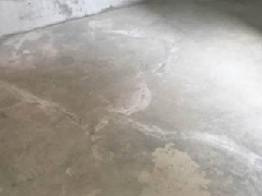 Z6·尊龙「中国」官方网站