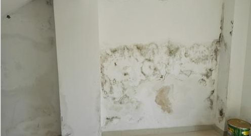 Z6·尊龙「中国」官方网站