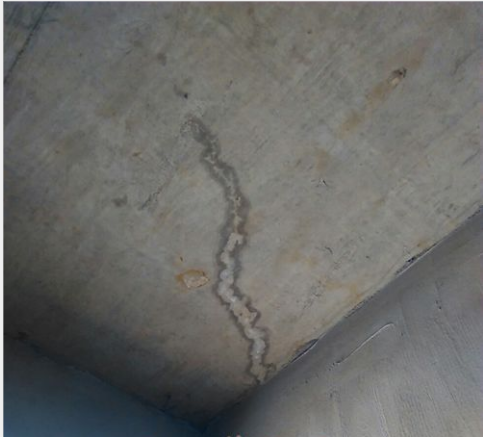 Z6·尊龙「中国」官方网站