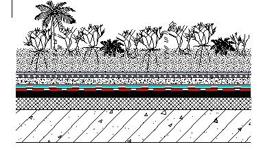 Z6·尊龙「中国」官方网站