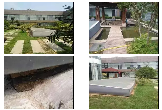 Z6·尊龙「中国」官方网站