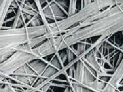 Z6·尊龙「中国」官方网站