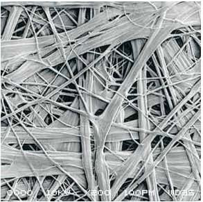 Z6·尊龙「中国」官方网站