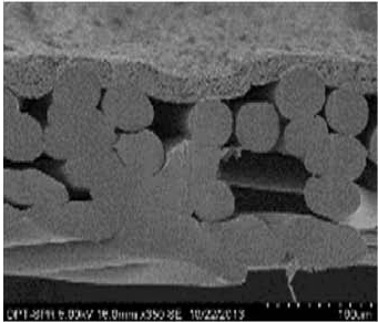 Z6·尊龙「中国」官方网站