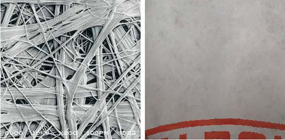 Z6·尊龙「中国」官方网站