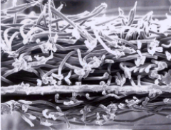 Z6·尊龙「中国」官方网站