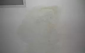 Z6·尊龙「中国」官方网站