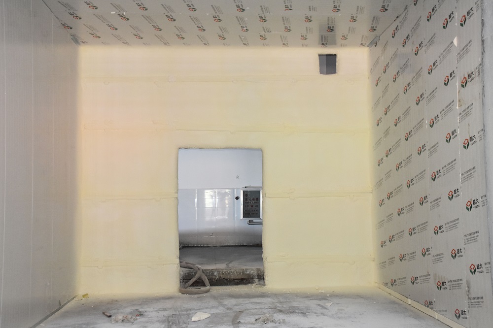 Z6·尊龙「中国」官方网站