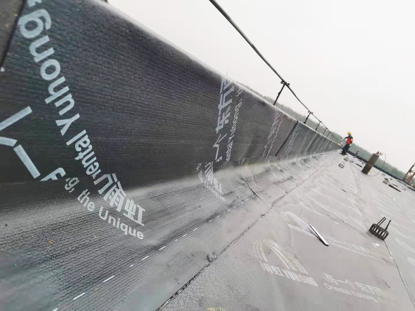 Z6·尊龙「中国」官方网站