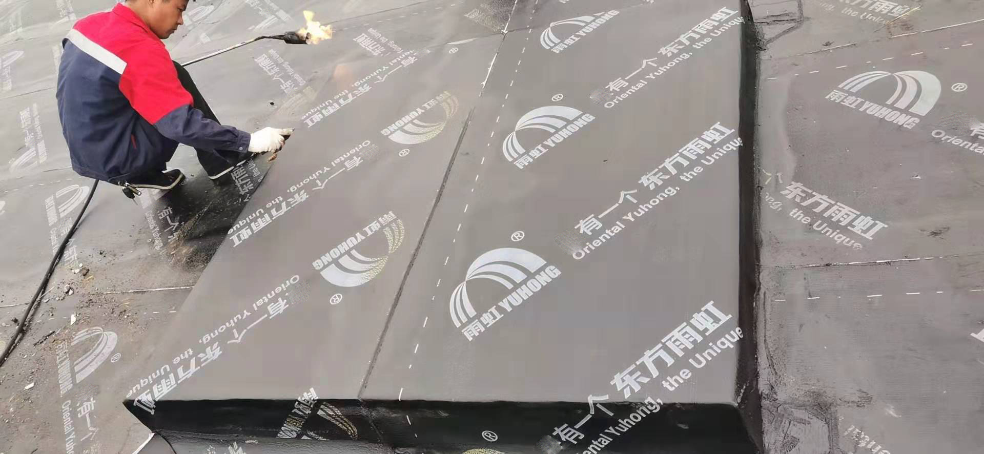 Z6·尊龙「中国」官方网站