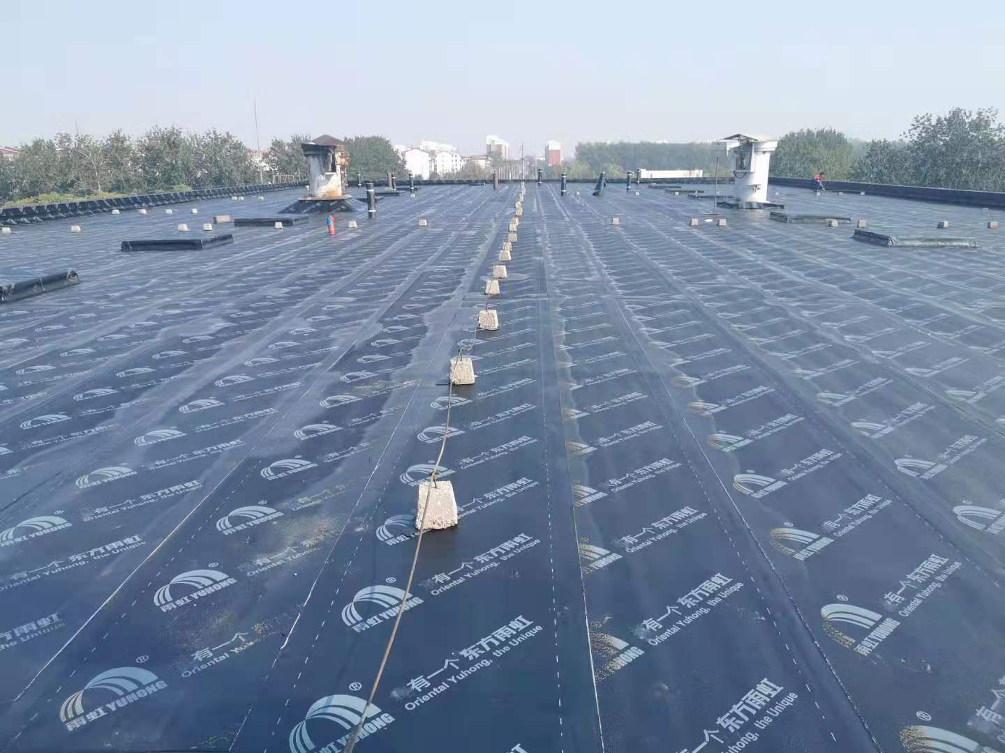 Z6·尊龙「中国」官方网站