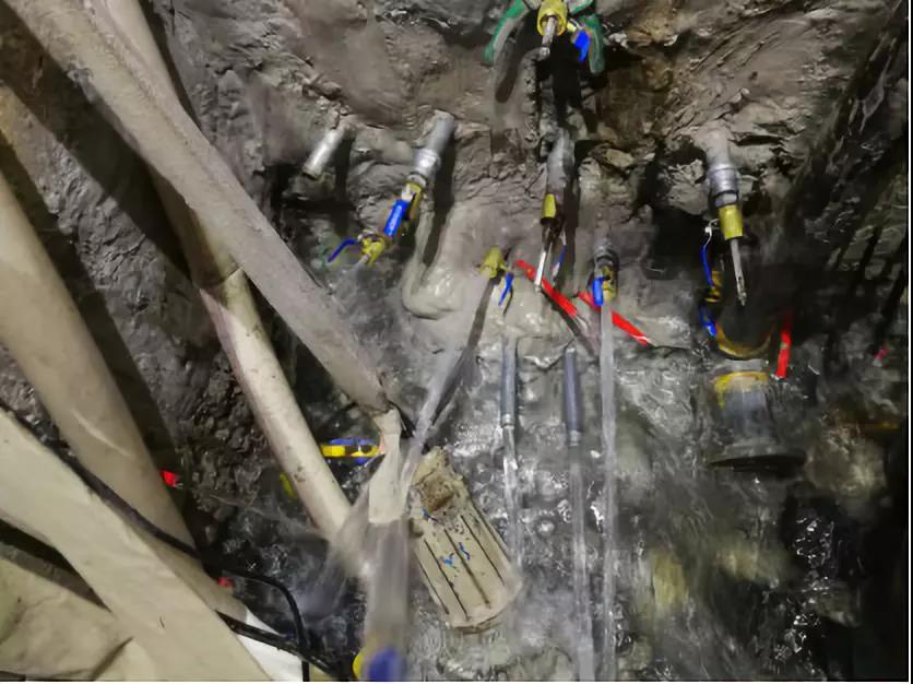 Z6·尊龙「中国」官方网站