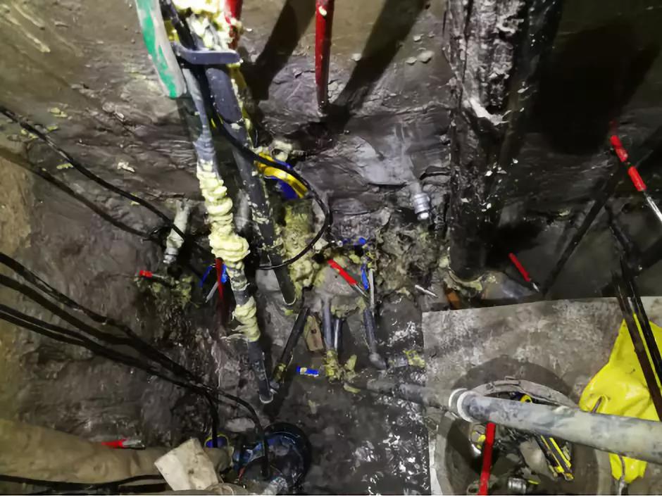 Z6·尊龙「中国」官方网站