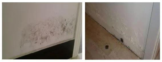 Z6·尊龙「中国」官方网站