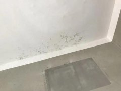 Z6·尊龙「中国」官方网站