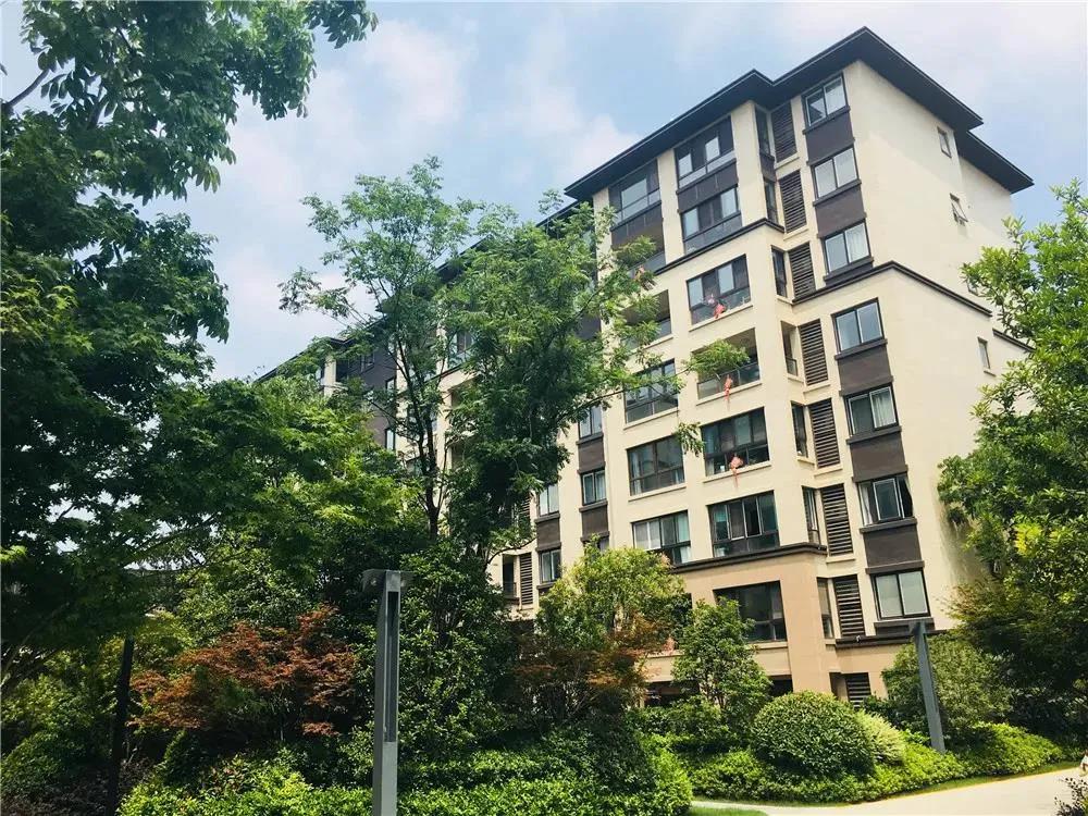 Z6·尊龙「中国」官方网站