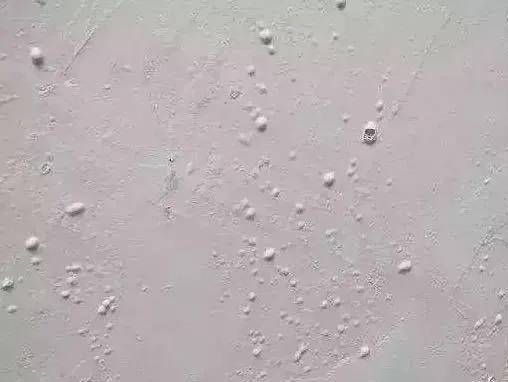 Z6·尊龙「中国」官方网站