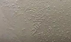 Z6·尊龙「中国」官方网站