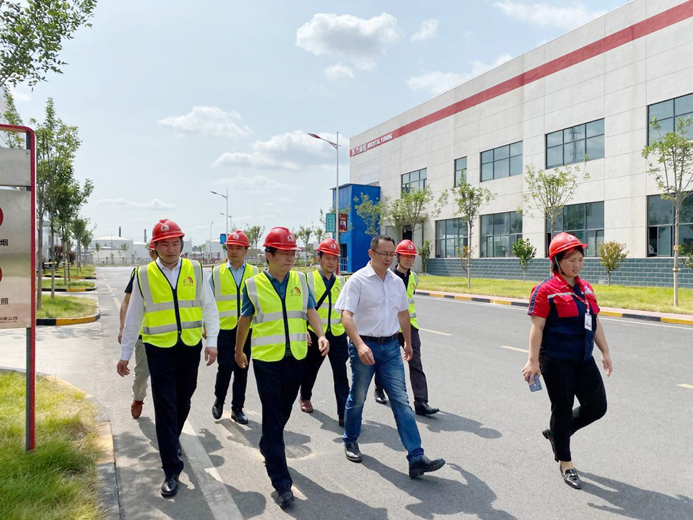 Z6·尊龙「中国」官方网站