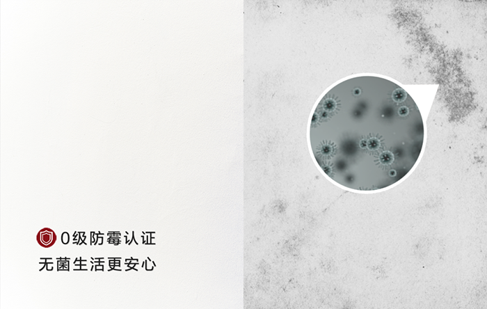 Z6·尊龙「中国」官方网站