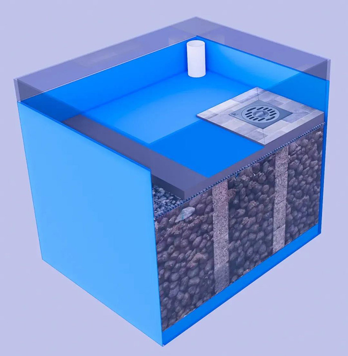 Z6·尊龙「中国」官方网站