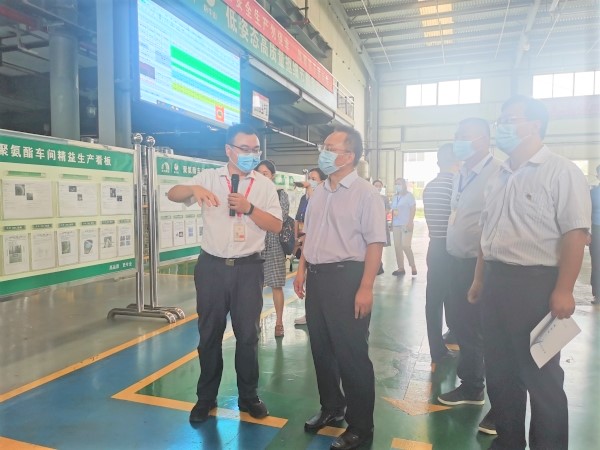 Z6·尊龙「中国」官方网站