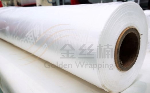 Z6·尊龙「中国」官方网站