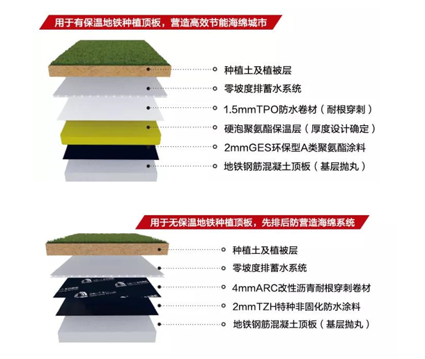 Z6·尊龙「中国」官方网站