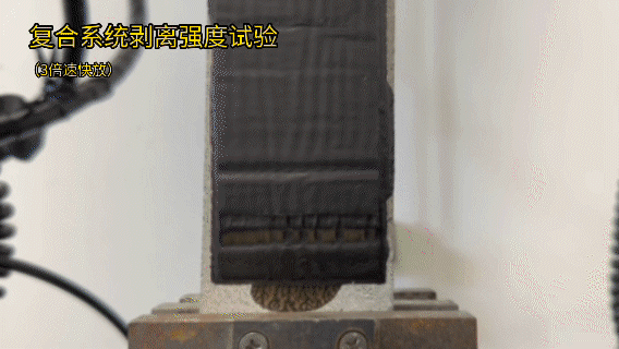 Z6·尊龙「中国」官方网站